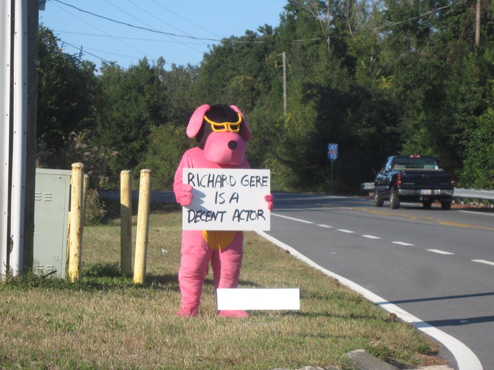 this-pink-dog-stood-outside-my-street-corner-the-entire-afternoon