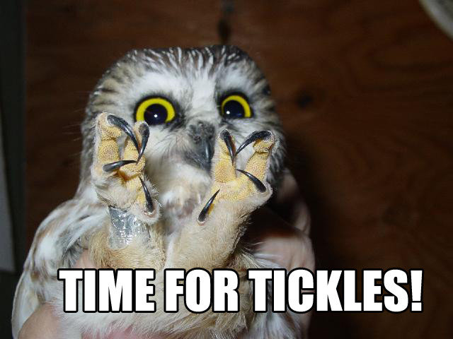 time-for-tickles!!!