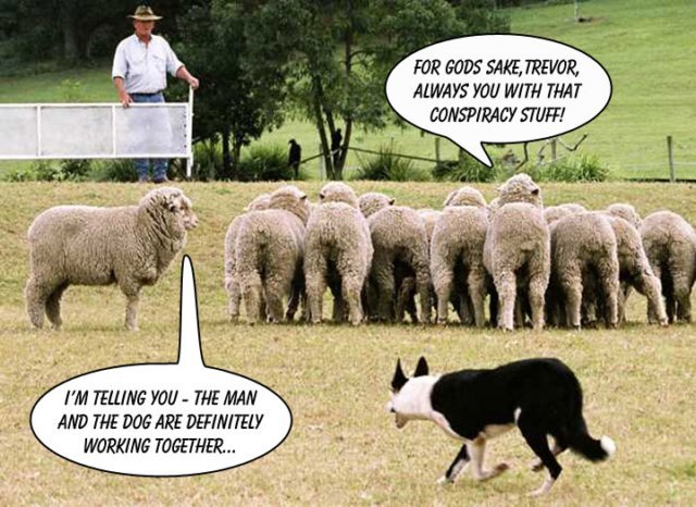 Are we all just sheep?