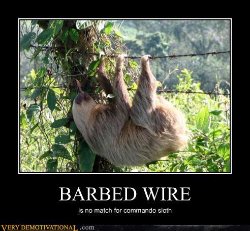 demotivational posters - BARBED WIRE
