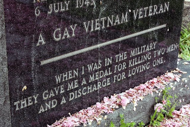 A Gay Vietnam Veteran 12