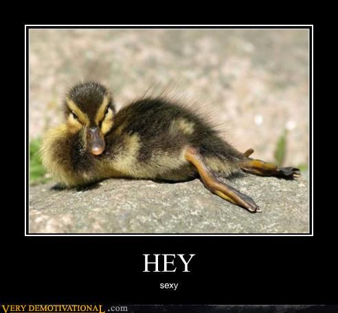 demotivational posters - HEY