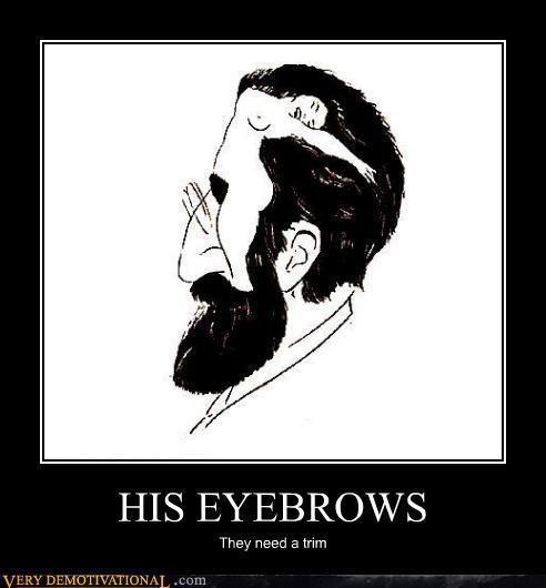 demotivational posters - HIS EYEBROWS