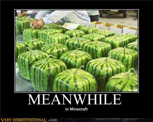 demotivational-posters-meanwhile-in-minecraft.jpg