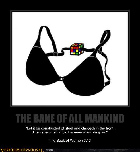 demotivational posters - THE BANE OF ALL MANKIND