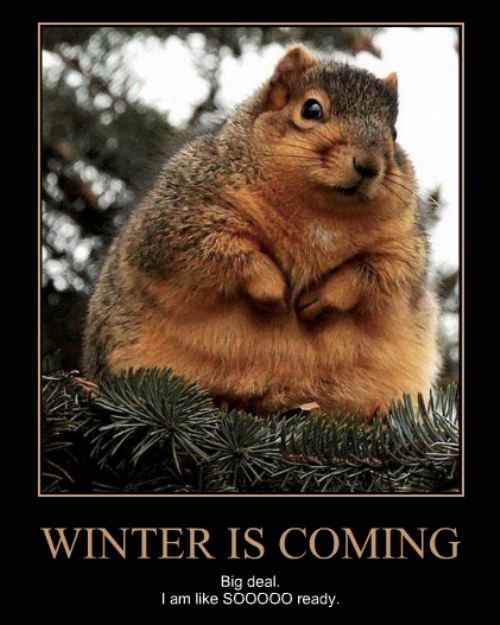 winter-is-coming-funny-pictures-quotes-pics-photos-images-videos-of-really-very-cute-animals