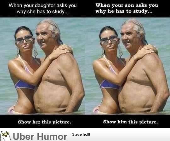 funny pictures