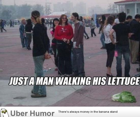 funny-captions-57.jpg