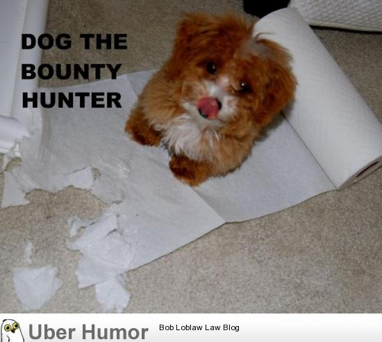 Dog the bounty hunter. | Funny Pictures, Quotes, Pics, Photos, Images
