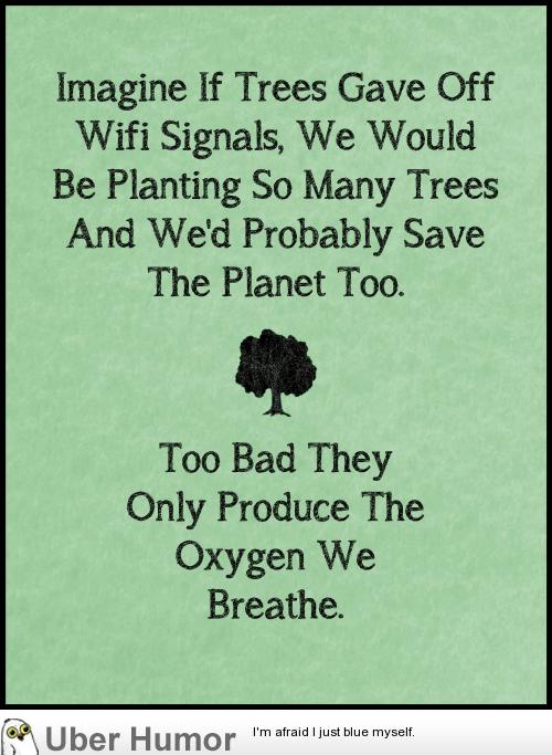 Trees.  Funny Pictures, Quotes, Pics, Photos, Images. Videos of Really