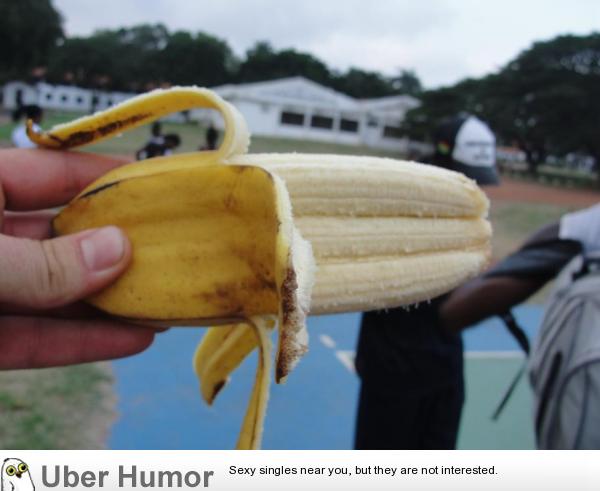 Has Anyone Ever Seen A Triple Banana Before Funny Pictures Quotes 
