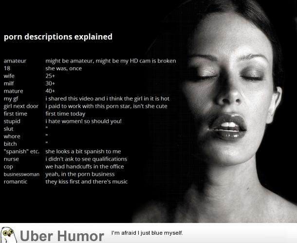 Funny Porn Quotes - Porn descriptions explained [OC] | Funny Pictures, Quotes ...