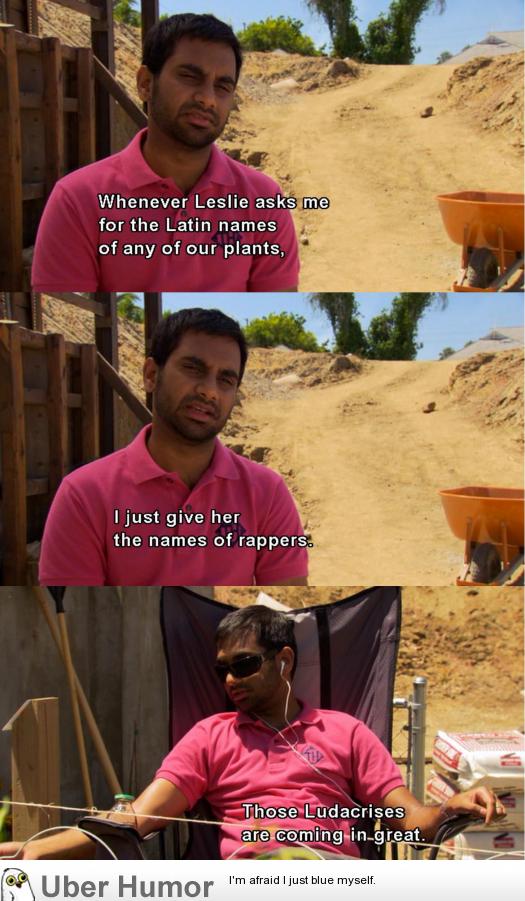 parks and rec quotes