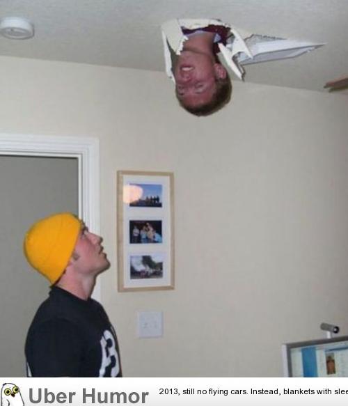 New Ceiling Fan Funny Pictures Quotes Pics Photos Images