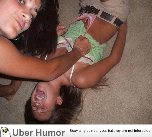 funny pictures