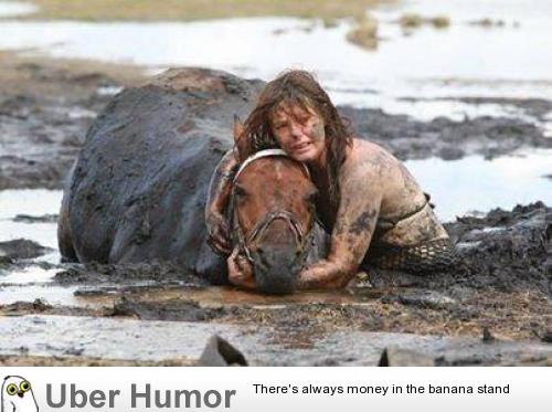 This horse got stuck in the mud. The woman had been holding it's head for  hours, so it wouldn't suffocate, until the help arrived | Funny Pictures,  Quotes, Pics, Photos, Images. Videos