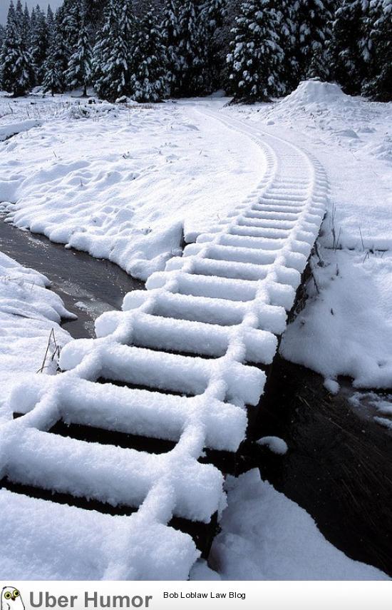 These snow covered train tracks | Funny Pictures, Quotes, Pics, Photos,  Images. Videos of Really Very Cute animals.