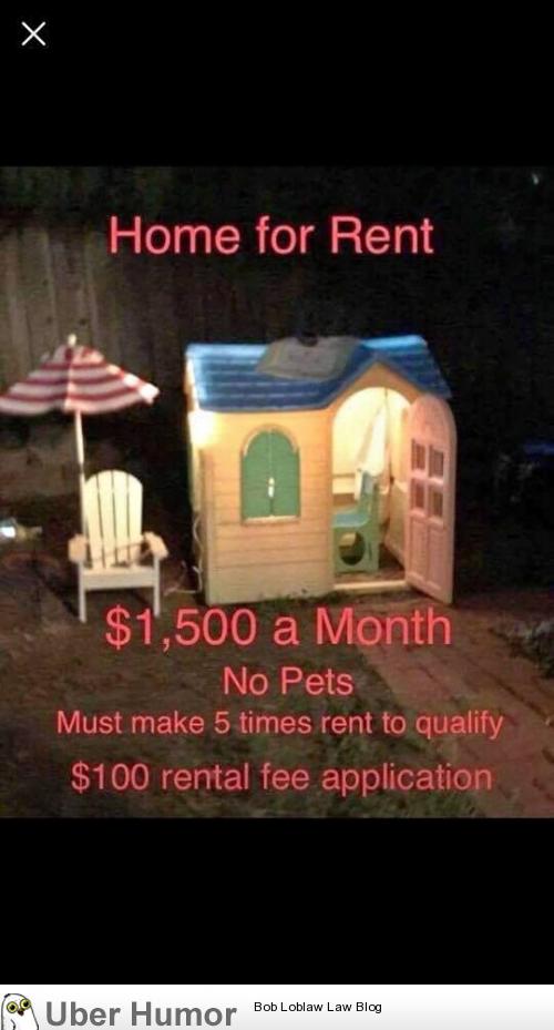 Rent in California be like | Funny Pictures, Quotes, Pics, Photos, Images.  Videos of Really Very Cute animals.