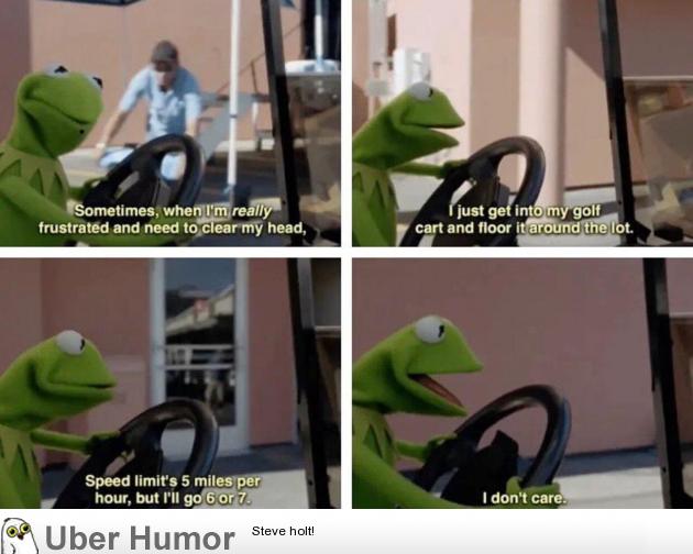 Kermit doesn't give a damn | Funny Pictures, Quotes, Pics, Photos, Images.  Videos of Really Very Cute animals.