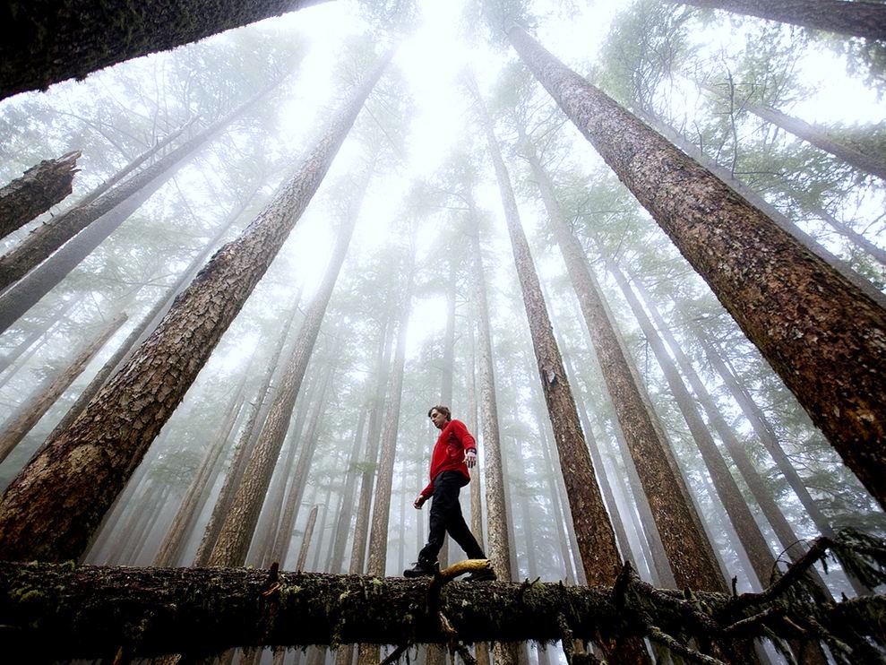 hiking-olympic-national-park-..-you're-gonna-be-amazed