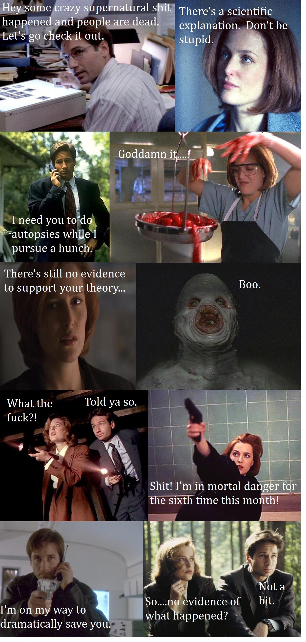 a-(very)-rough-summary-of-the-formula-for-my-favorite-x-files-episodes.