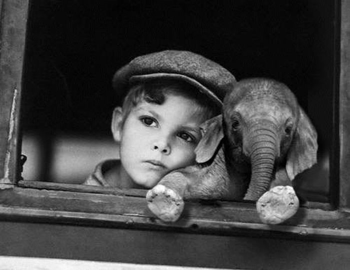 just a boy and his elephant