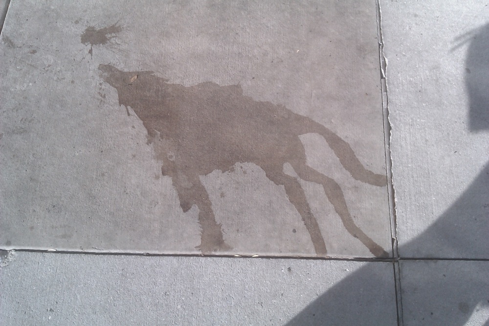 somebody-spilled-a-wolf-howling-at-the-moon-outside-the-mall.-pretty-amazing