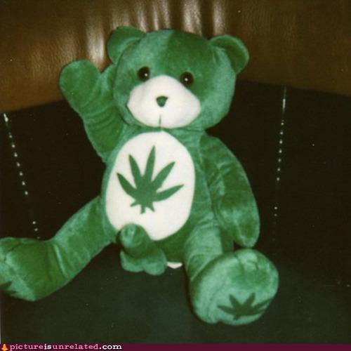 wtf photos videos - I Dont Remember This Care Bear
