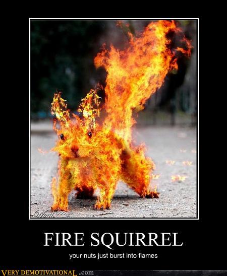 demotivational posters - FIRE SQUIRREL