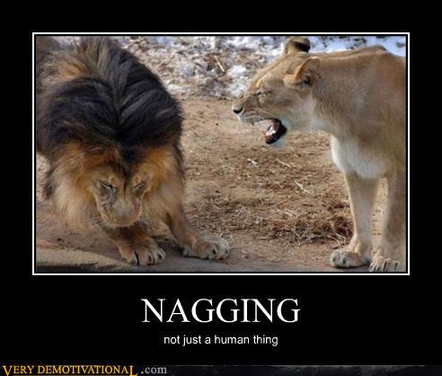 NAGGING | Funny Pictures, Quotes, Pics, Photos, Images. Videos of ...