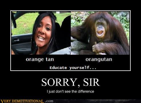 demotivational posters - SORRY, SIR