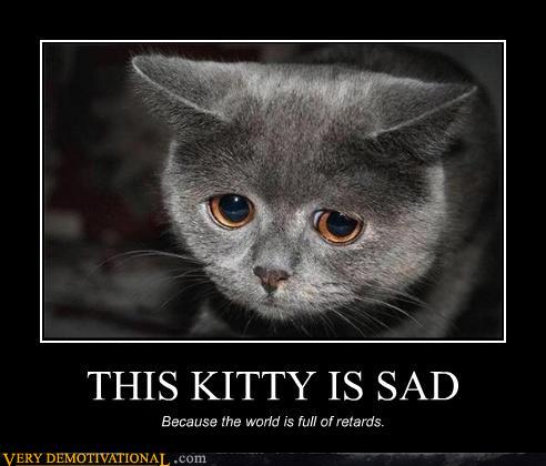 demotivational posters - THIS KITTY IS SAD