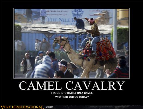 demotivational posters - CAMEL CAVALRY
