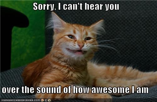 I am awesome | Funny Pictures, Quotes, Pics, Photos, Images. Videos of  Really Very Cute animals.