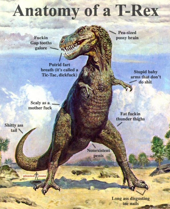 Anatomy Of A T-Rex