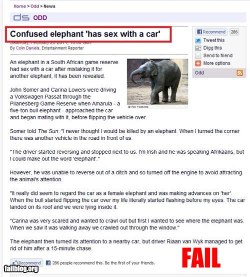 epic fail photos - Probably Bad News: Elephants Get Confused, But Never Forget