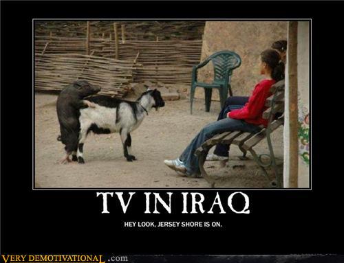 demotivational posters - TV IN IRAQ