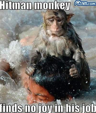 Hitman Monkey funny picture
