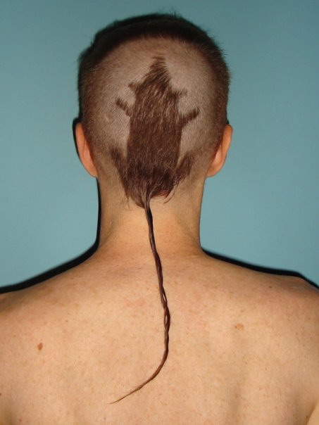 The best possible haircut that any man could get (xpost from r/WTF)
