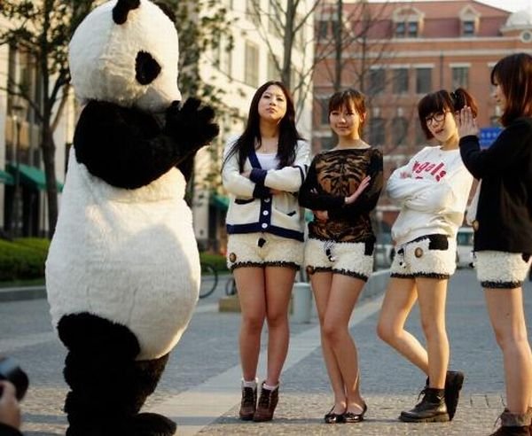 very sexy panda shorts