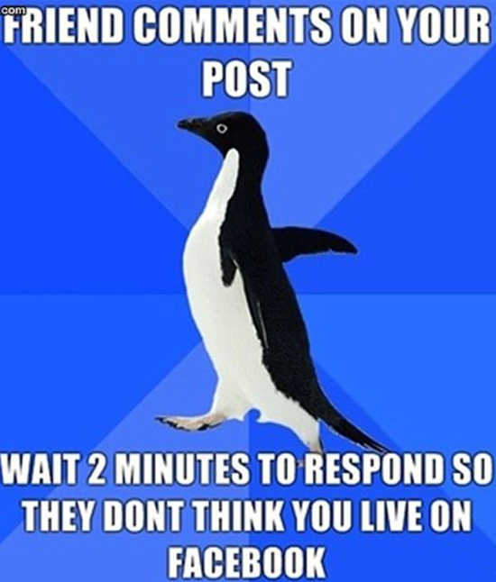 Friend comments on your post on Facebook… | Funny Pictures, Quotes