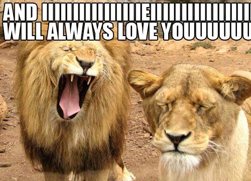 I Will Always Love You Funny Pictures Quotes Pics Photos Images 