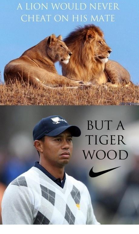 Tiger Woods | Funny Pictures, Quotes, Pics, Photos, Images. Videos of  Really Very Cute animals.