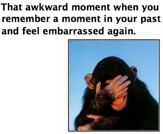That awkward moment… | Funny Pictures, Quotes, Pics, Photos, Images. Videos  of Really Very Cute animals.