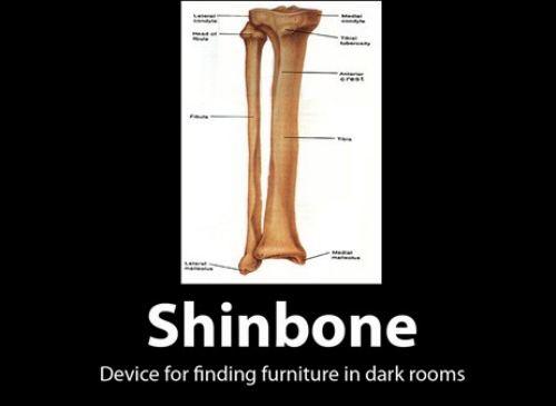 Shinbone | Funny Pictures, Quotes, Pics, Photos, Images. Videos of