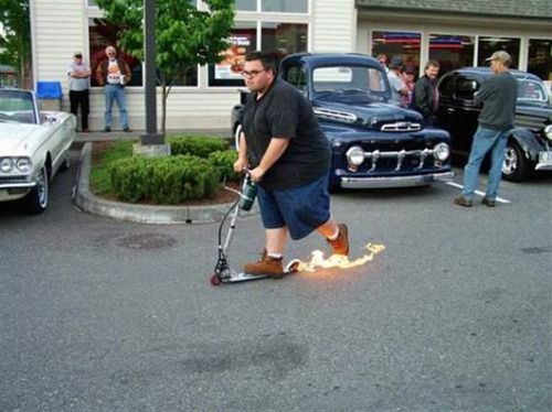 The new Ghost Rider | Funny Pictures, Quotes, Pics, Photos, Images. Videos  of Really Very Cute animals.