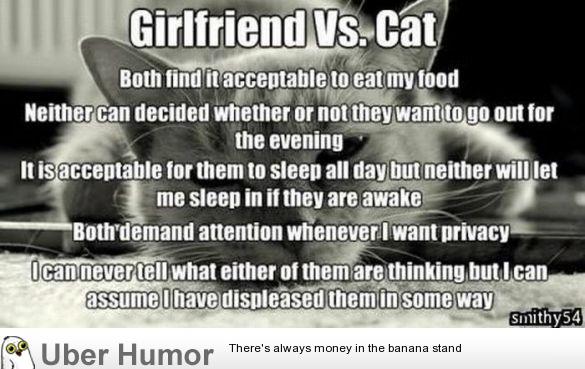 Girlfriend Vs Cat Funny Pictures Quotes Pics Photos Images Videos Of Really Very Cute