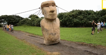 How the Easter Island statues may have been trasported.