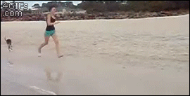 Just a normal day at the beach in Australia