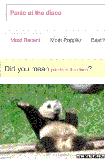 panda disco